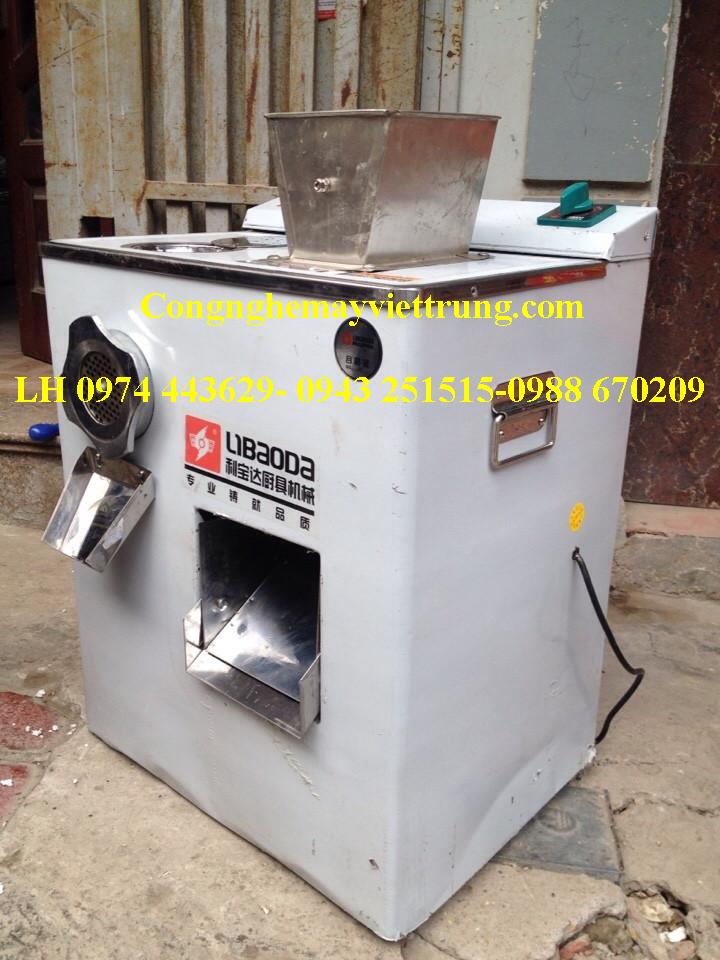 Máy xay thịt kết hợp máy thái thịt SXQJ300(VT-TTS05)