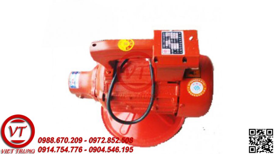 Đầm dùi 2.2Kw/220v (VT-MDD13)