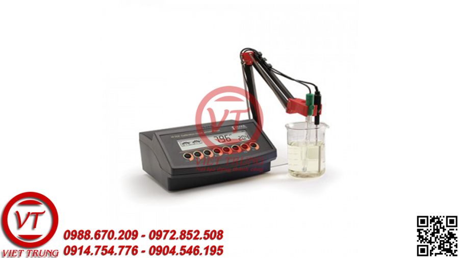 Máy đo pH/mV/nhiệt độ Hanna HI2221-02 (VT-PHDB29)