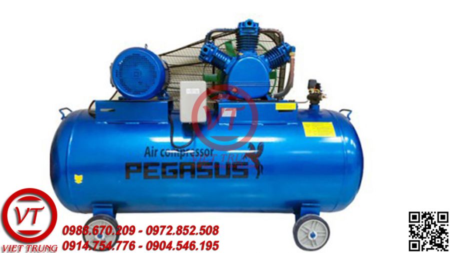 Máy nén khí dây đai PEGASUS TM-W-1.0/8-330L (VT-MNK115)