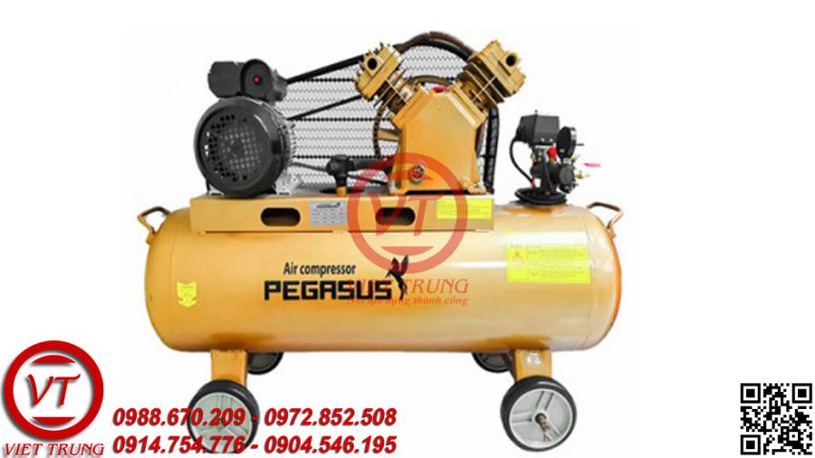 Máy nén khí dây đai Pegasus TM-V-0.25/8-120L(VT-MNK136)