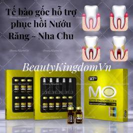 Tế bào gốc phục hồi Nướu Răng, Nha Chu - Gingival MF+ MFIII Mito Organelles MO