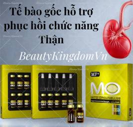 Tế bào gốc hỗ trợ phục hồi chức năng Thận - Kidney MF+ MFIII Mito Organelles MO