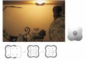 Đèn LED cảm ứng chuyển động dùng pin NE6S0.7W
