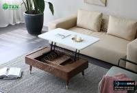 Phụ kiện nâng hạ mặt bàn thông minh giảm chấn NewEra NE4828.237.344