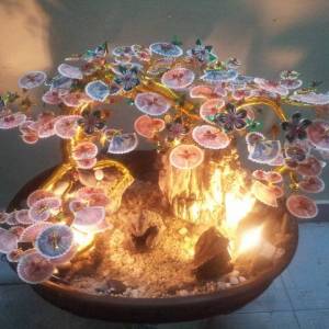 Cây tiền dáng bonsai đèn - thác nước