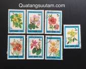 Tem-hoa-Viet-Nam