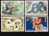 Bo-Samoa-2015-wwf-Cac-loai-ran-4-con