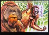 Bloc-Malaysia-1999-Dong-vat-co-vu-duoc-bao-ve-o-Malaysia-1-con
