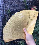 TIEN-LI-XI-TET-HINH-CON-TRAU-PLASTIC-MA-VANG-3