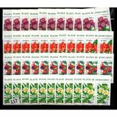 Bo-4-tem-hoa-Romania-nam-2000-suu-tam