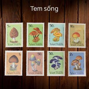 Bộ Tem Sưu Tầm Việt Nam Chủ Đề Các Loại Nấm - 8 Con Stamps.