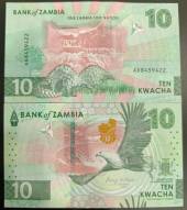Zambia 10 Kwacha 2024 UNC