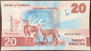 Zambia 20 Kwacha 2024 UNC