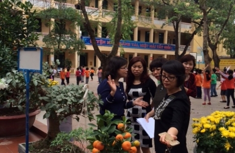 HỘI THI CÂY CẢNH CHÀO XUÂN ẤT MÙI 2015