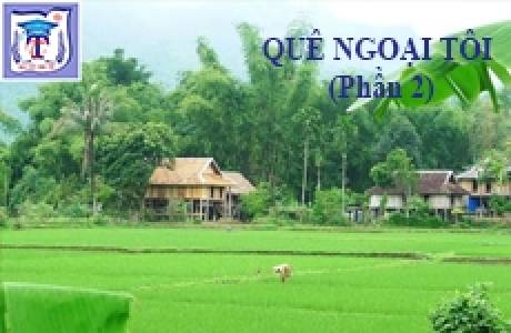 QUÊ NGOẠI TÔI  (P2)