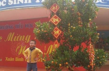 MS160 Tạ Minh Phúc