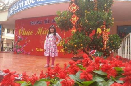 MS181 Phạm Hà Anh