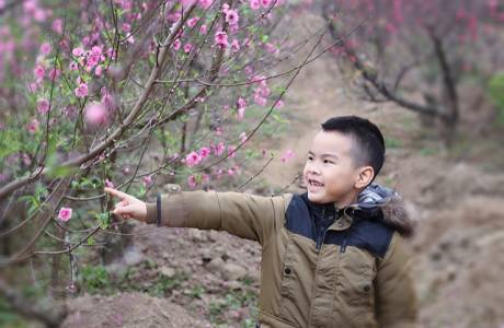 MS006 Đỗ Bách Dương