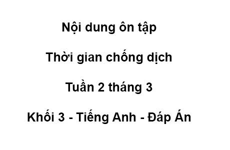 Khối 3 - tuần 2 - tháng 3 - tiếng anh - đáp án