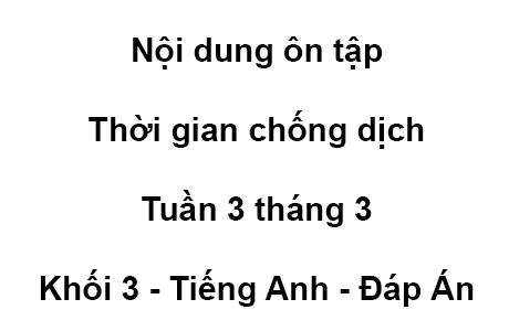 Khối 3 - tuần 3 - tháng 3 - tiếng anh - Đáp Án