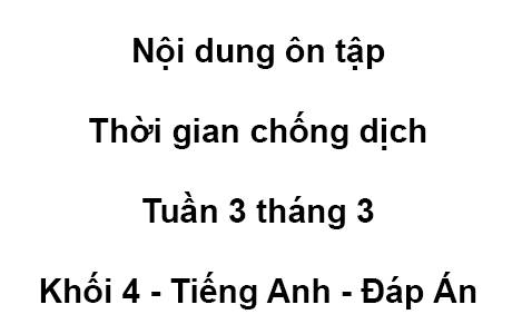 Khối 4 - tuần 3 - tháng 3 - tiếng anh - Đáp Án