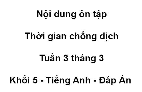 Khối 5 - tuần 3 - tháng 3 - tiếng anh - đáp án