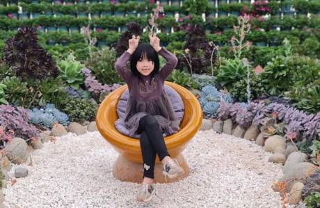 MS637 Phạm Bảo Linh Linh-2D