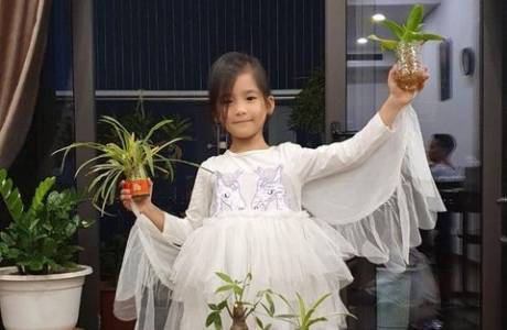 MS736 Bùi Thanh Lê Lớp 1B