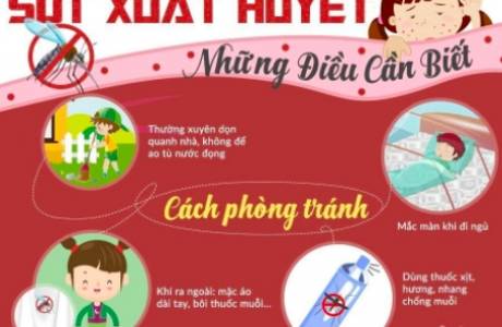 NHỮNG ĐIỀU CẦN BIẾT VỀ BỆNH SỐT XUẤT HUYẾT