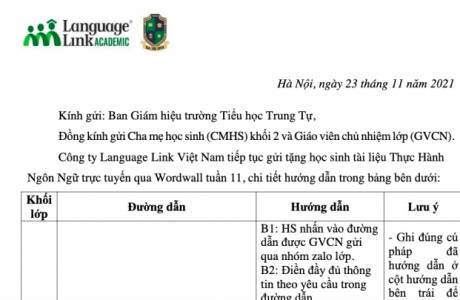 [TH Trung Tự - Khối 2] Tài liệu thực hành ngôn ngữ trực tuyến - Tuần 11