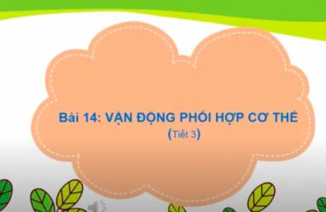 Giáo Dục Thể Chất Lớp 1 - Bài 14: Vận động phối hợp cơ thể (Tiết 3)