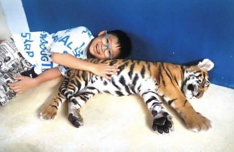 MS100 Đặng Nam Khánh Lớp 5D
