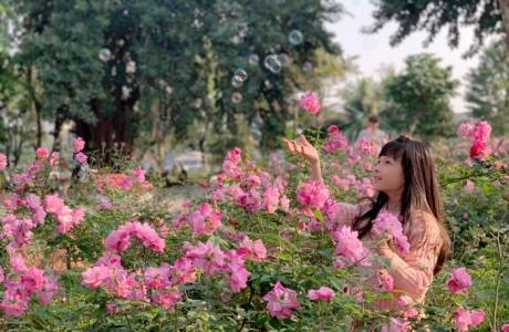 MS334 Phùng Bảo An Lớp: 3B