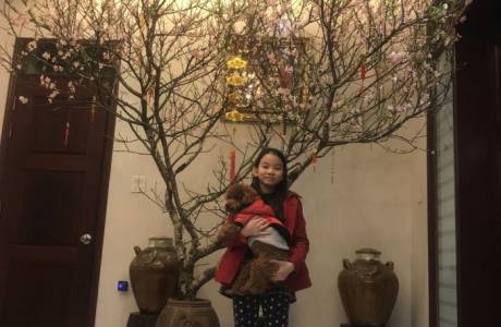 MS780 Đỗ Bảo Hân lớp 5H