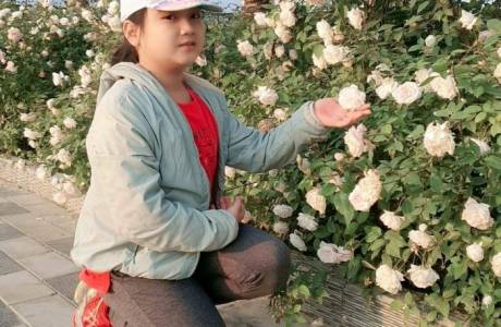 MS1143 Tuệ Thanh 4H