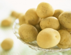 CHUYÊN ĐỀ: KHOAI TÂY KHỬ NƯỚC