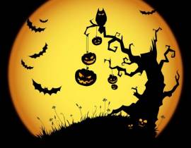NHỮNG ĐIỀU CẦN BIẾT VÀO NGÀY HALLOWEEN