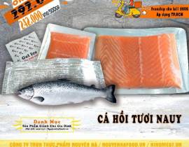 CÁ HỒI TƯƠI NAUY – SALMON 500GRAM/VĨ (GIẢM GIÁ MẠNH, GIÁ GỐC 292K) ĐANG BÁN TẠI KINGMEAT