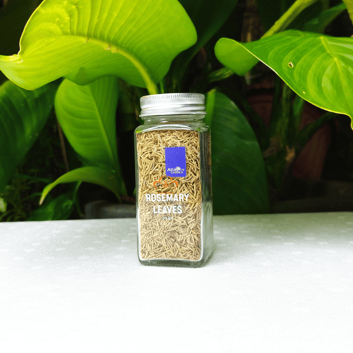 Lá Hương Thảo Khô - Dried Rosemary Leaves