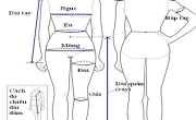 Hướng dẫn lấy số đo