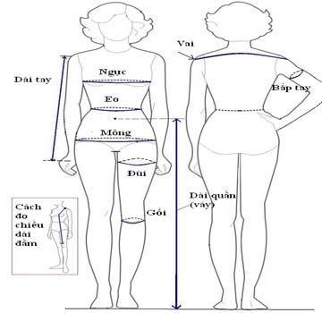 Hướng dẫn lấy số đo