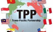 TPP - Ngành dệt may hưởng lợi gì?