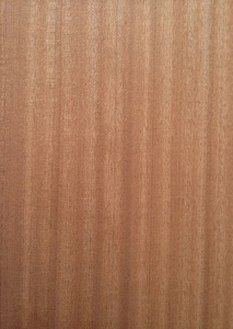 SAPELLY 0,6 mm