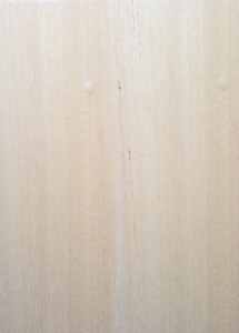 Chen Chen 0,6 mm