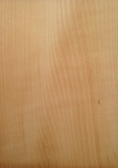 White Beech 0,6 mm