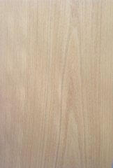 ANIEGRF 0,6 mm