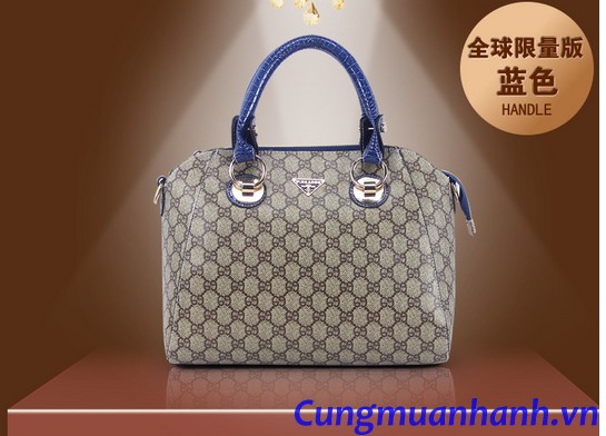 Túi Gucci Cao Cấp Hàng Nhập