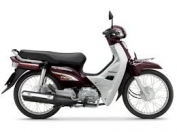 Bộ nhựa xe Dream II chính hãng Honda