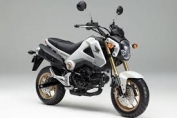 Bộ nhựa xe MSX 125 chính hãng Honda